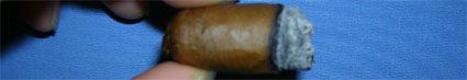 Famous Dominican 2000 - 4